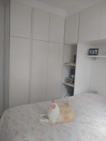 /album/galeria-de-fotos/a2366-jpg/